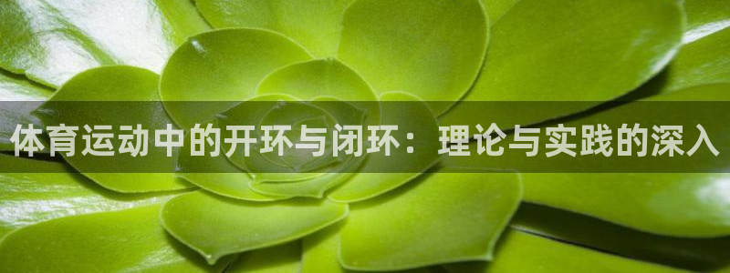 88体育app直播ios：体育运动中的开环与闭环：理论与实践的深入