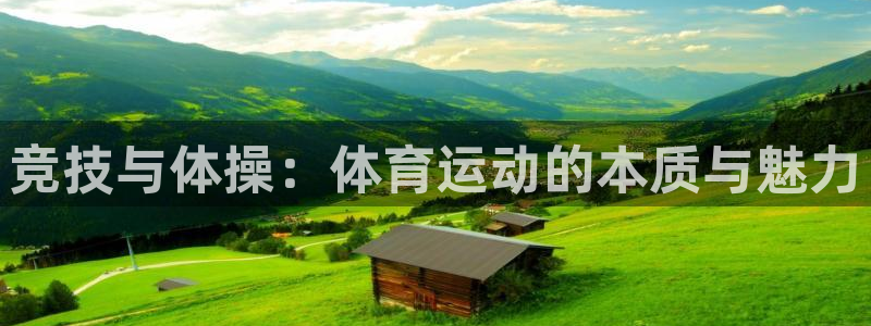 88体育app下载平台：竞技与体操：体育运动的本质与魅力