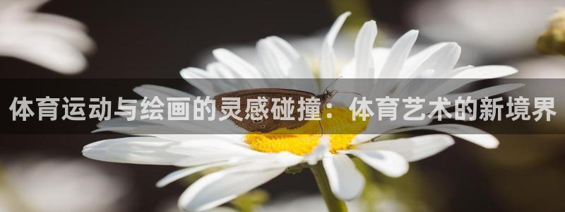 88体育官网手机版入：体育运动与绘画的灵感碰撞：体育艺术的新境界
