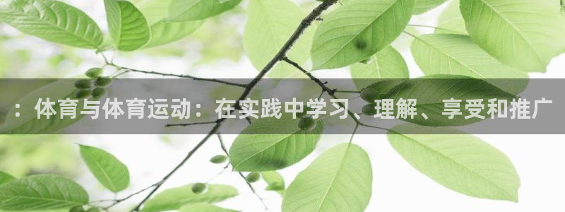 88体育app下载入口官网：：体育与体育运动：在实践中学习、理解、享受和推广