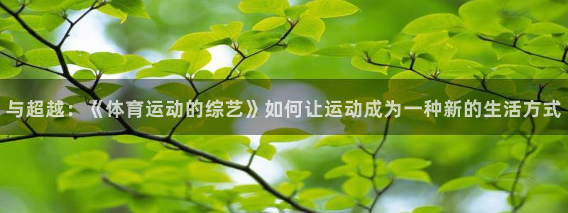 热博rb88体育官网：与超越：《体育运动的综艺》如何让运动成为一种新的生活方式