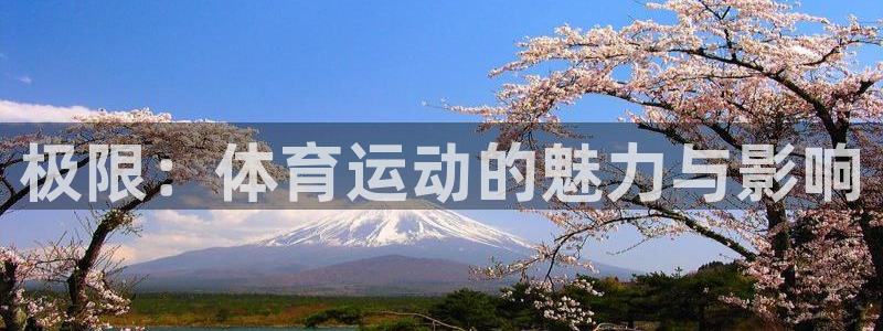 88体育官网登录：极限：体育运动的魅力与影响