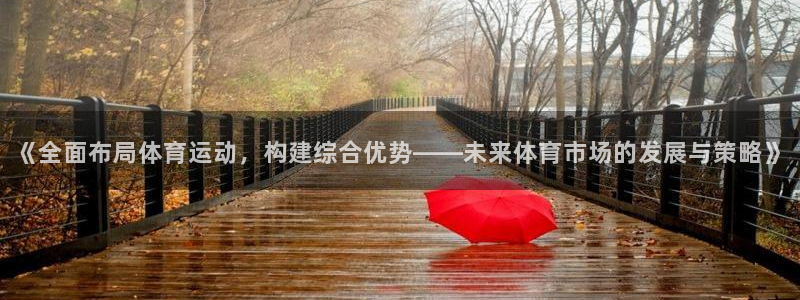 rb88体育：《全面布局体育运动，构建综合优势——未来体育市场的发展与策略》